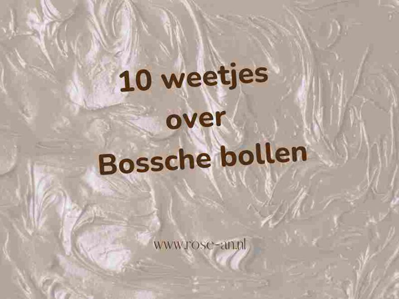 10 weetjes over Bossche bollen_rose-an