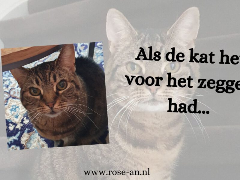 Als de kat het voor het zeggen had