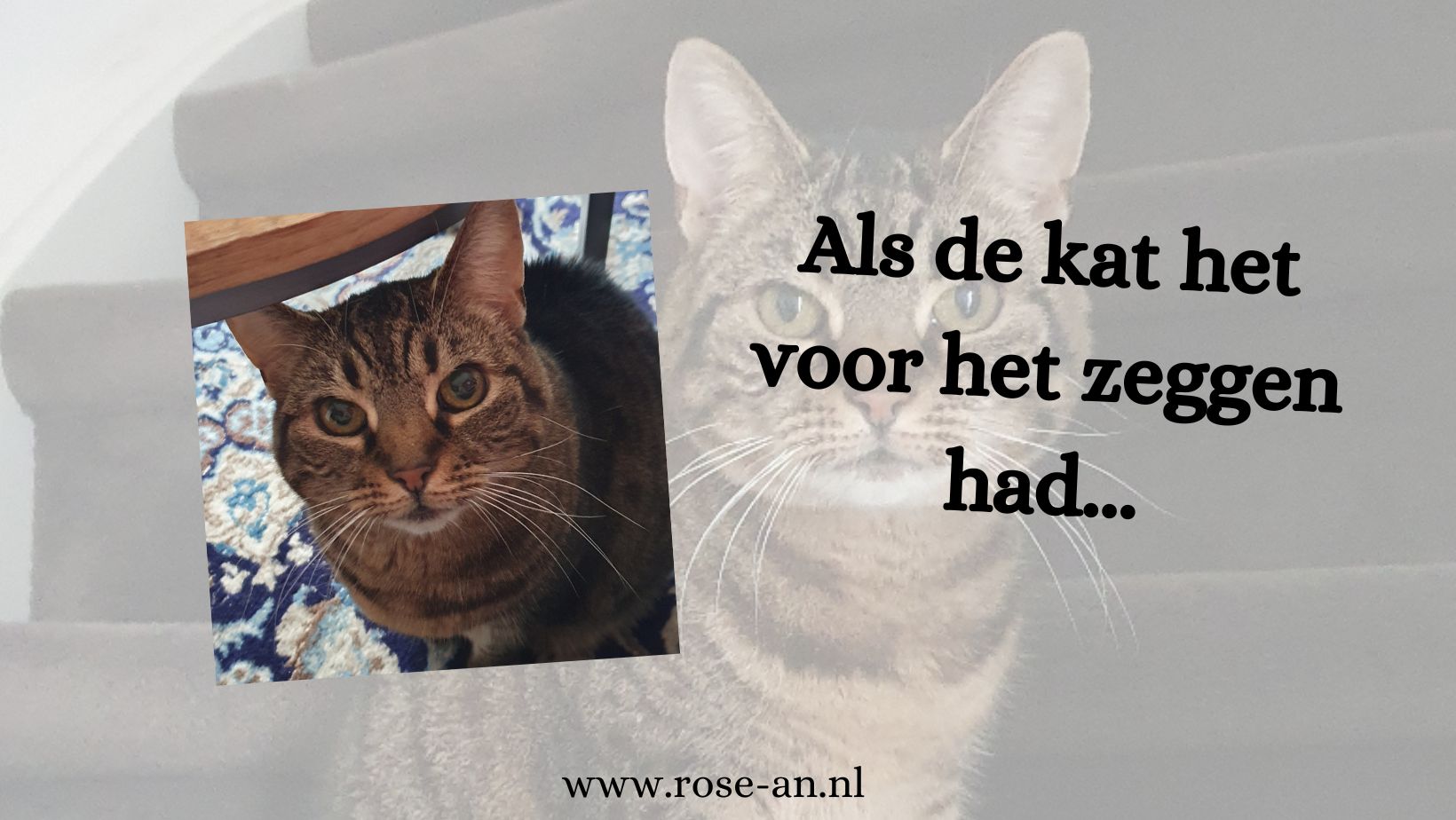 Als de kat het voor het zeggen had